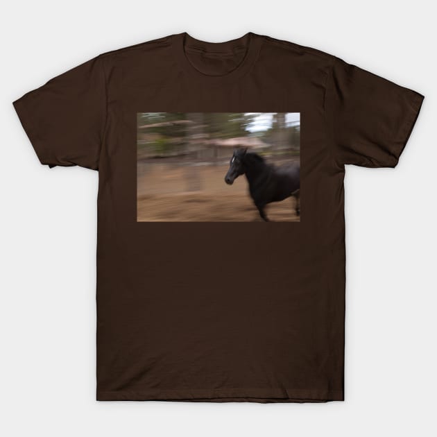 Run Horse Run T-Shirt by Sassifrassically's  'Swasome Shop